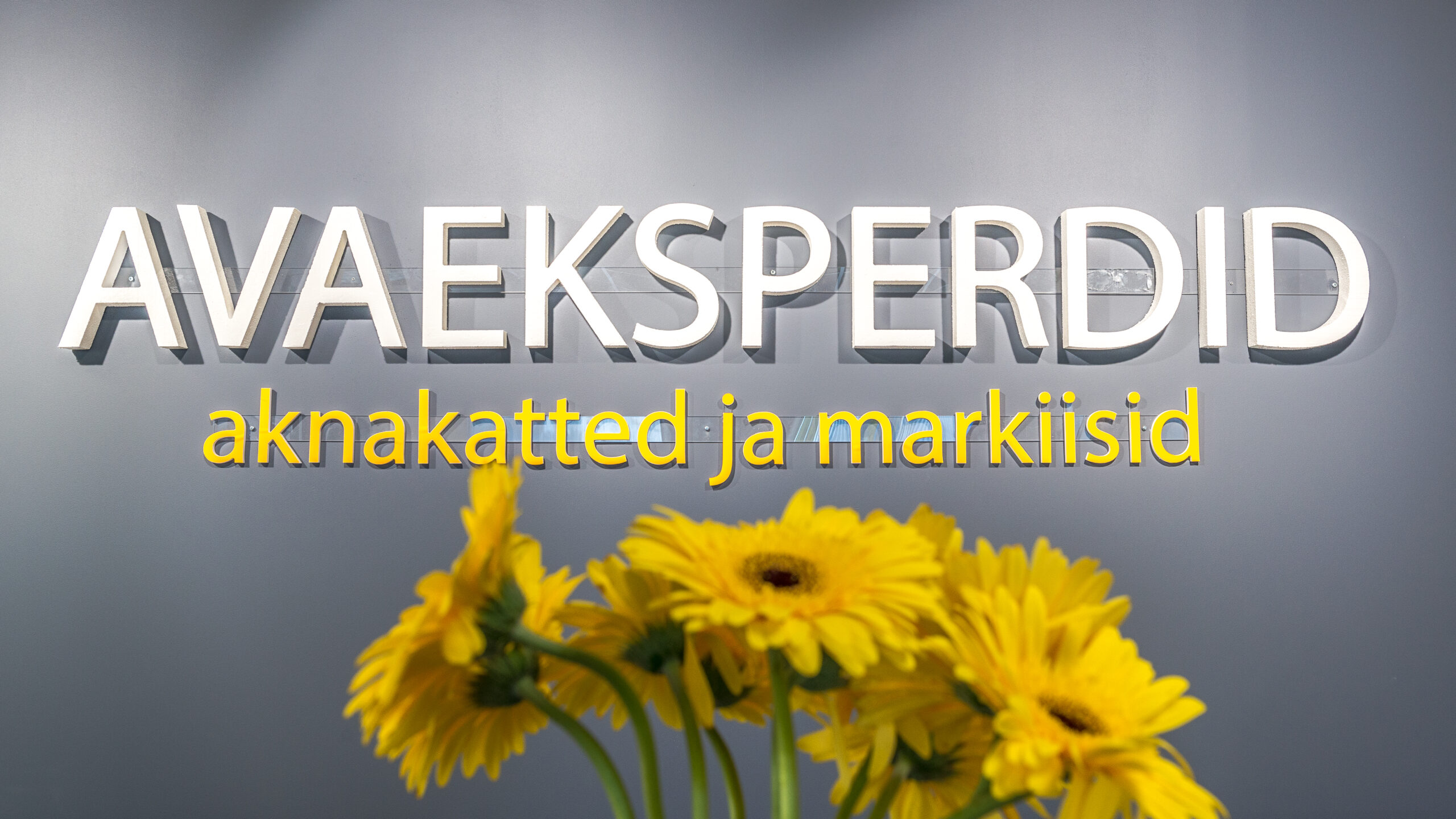 Avaeksperdid - aknakatted ja markiisid