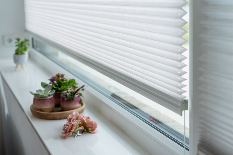 Voldikkardin Maxline